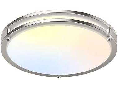 GoBright 18in Nickel LED Ceiling Light