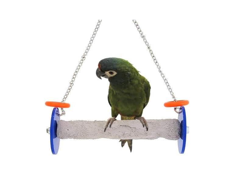 Sweet Feet and Beak Roll Bird Swing