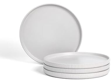 Stone Lain Haven Stoneware 4Pc Dinner Plates