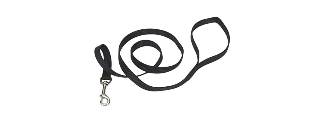 Coastal Pet Single-Ply Dog Leash - Sturdy Pet