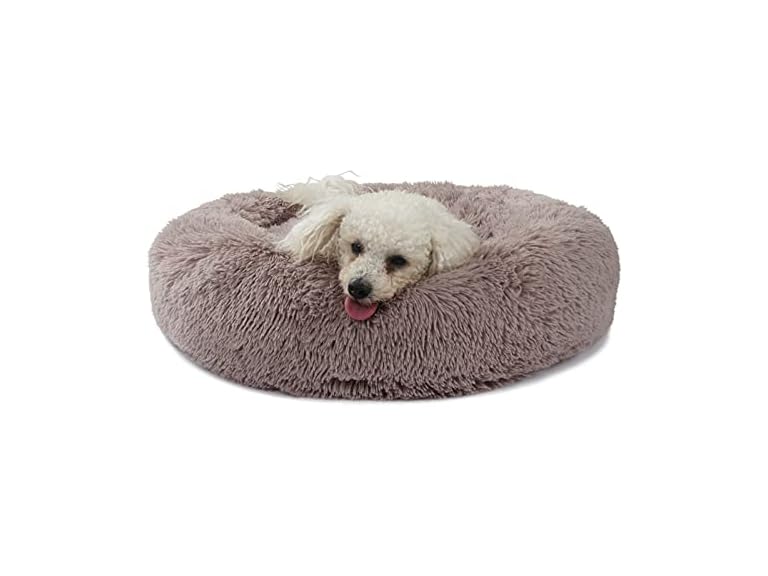 Dog Beds for Medium Dogs Washable Orthopedic