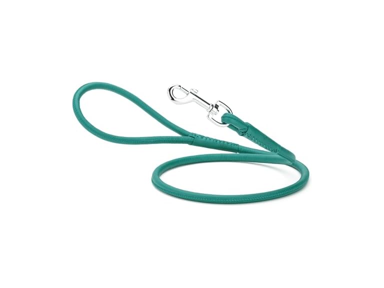 Dogline Rolled Leather Dog Leash - for Small