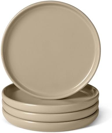 Amazon Basics Glazed Stoneware Salad Plates
