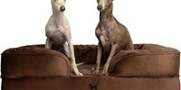 NOAH & PAW Dog/Cat Sofa- Large