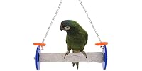 Sweet Feet and Beak Roll Bird Swing