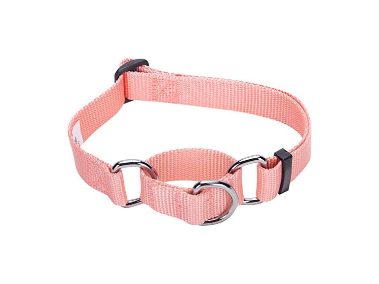 Blueberry Pet Essentials Martingale Safety Collar