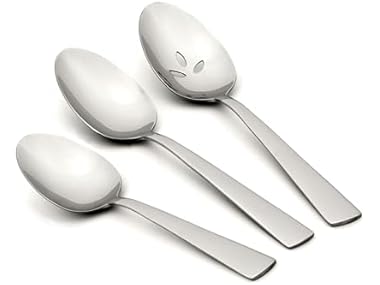 Oneida Nocha Everyday Serving Spoons
