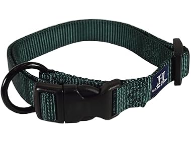 Hamilton Adjustable Nylon Dog Collar, Dk Green