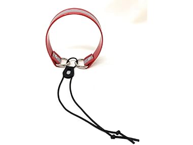 Sparky Pet Co Sparky Pet Co Surefit 1 Inch Bungee Dog
