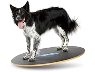 FitPAWS Wobble Board - Dog Balance Training E