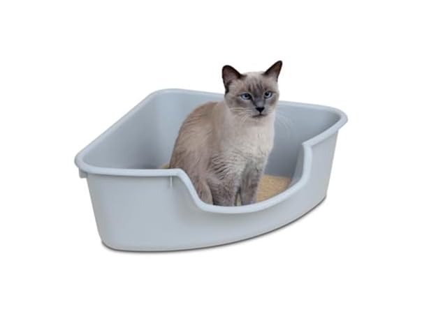 SmartCat Corner Litter Box, Gray
