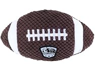 SportsBallz Football