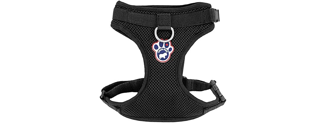 Canada Pooch Everything Dog Harness Black Mesh Medium