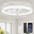 LEDIARY 20" Low Profile Ceiling Fan
