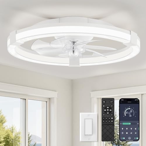 LEDIARY 20" Low Profile Ceiling Fan