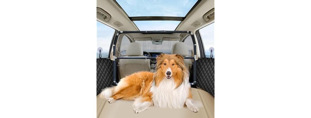 Dog Car Barrier with 2 Door Protectors