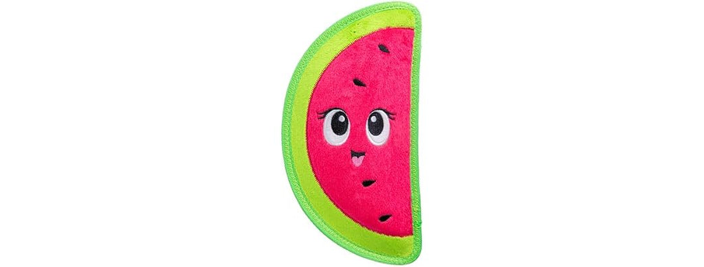 Outward Hound Tough Skinz Durable Squeaky Dog