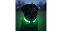 Tractive LED Light Up Dog Collar USB Rechargeable (Green)