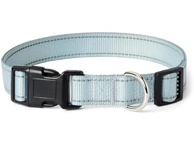 Amazon Basics Reflective Polyester Dog Collar- XL