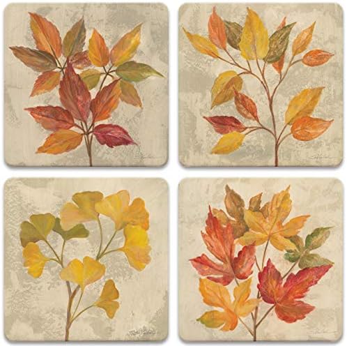 CoasterStone Coaster Set - November