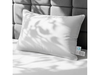 White Goose Down Pillow, Feather And