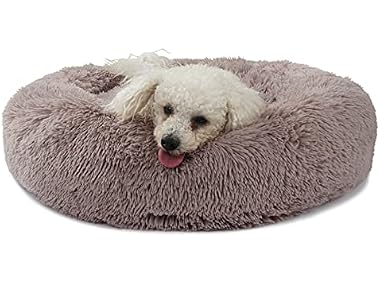 Dog Beds for Medium Dogs Washable Orthopedic
