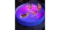 Pawtners Foldable Kiddie Pool with Light