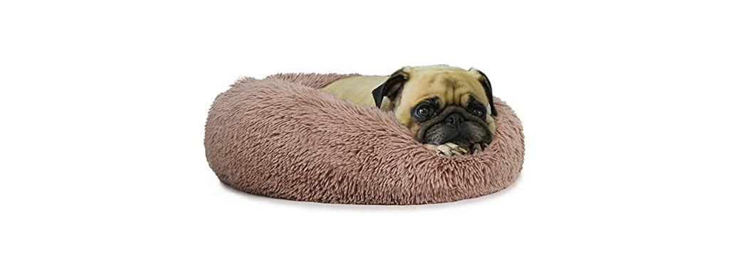Small Deep Sleep Calming Bed for Dogs with An