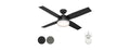 Hunter Fan 52" Light Kit & Remote