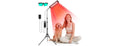 Red Light Therapy