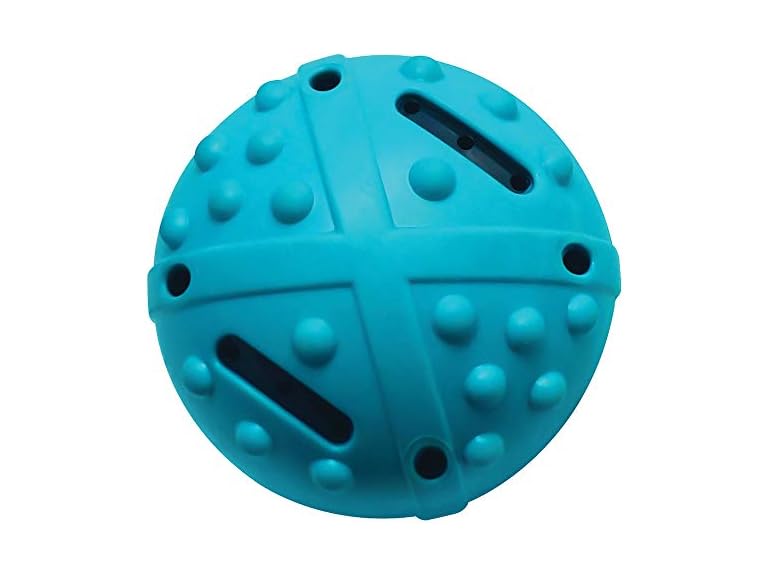 Champion Companion TPR Squeaky Bouncing Ball