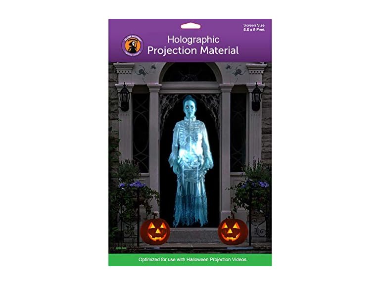 Holographic Rear Projection Screen