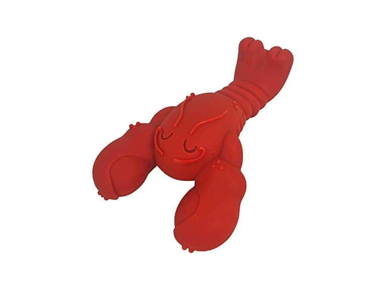 Nylabone Lobster Power Chew Toy for Dogs, Dog