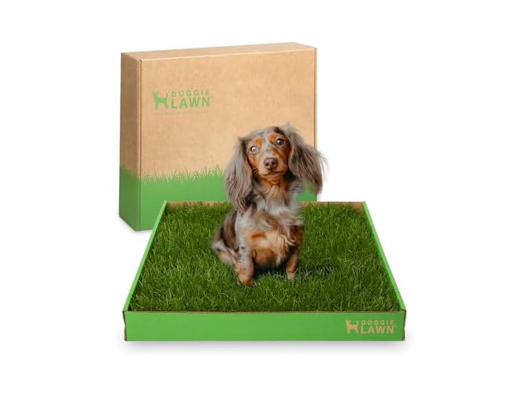 DoggieLawn Real Grass Puppy Pee Pads- 24 x 16