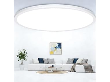 20 Inch Large LED Flush Mount Ceiling Lights, 35W