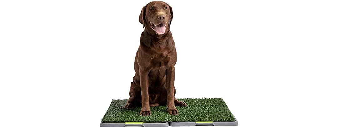Silver Paw 3-Layer Washable Pee Pads for Dogs