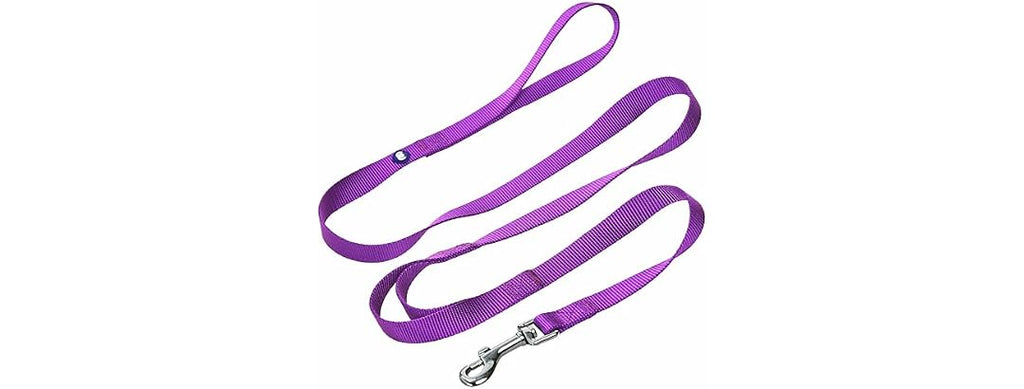 Blueberry Pet Essentials Double Handle Dog Leash