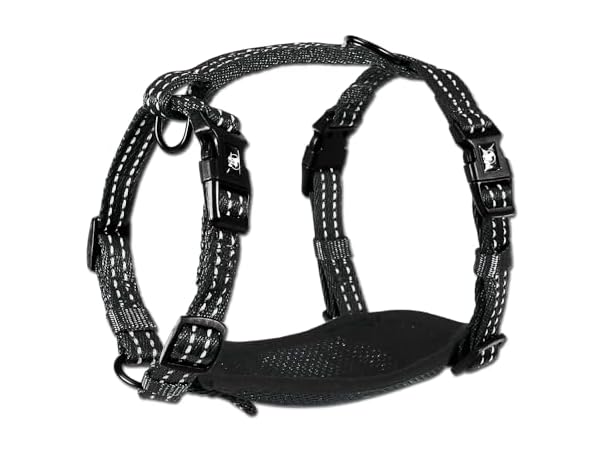 Alcott Essentials Adventure Pet Harness, Small