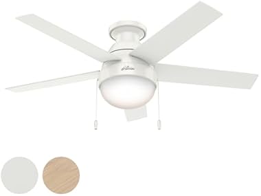 Hunter Fan 46" Contemporary w/ Light