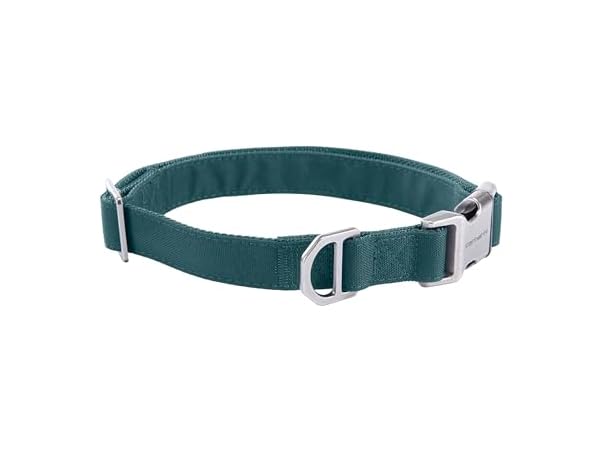 Carhartt Field Dog Collar, Fully Adjustable Greenstone, Med
