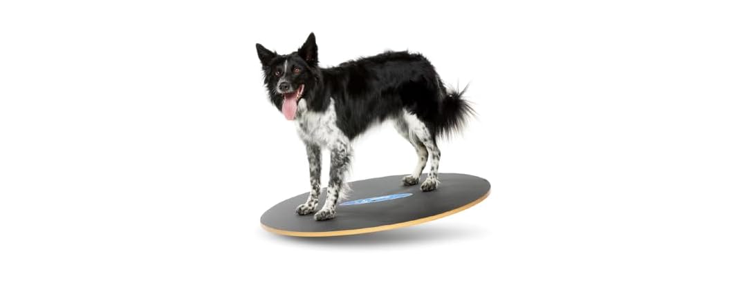FitPAWS Wobble Board - Dog Balance Training E