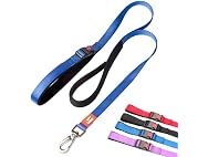 Canny Connect Leash - Anti Pull Dog Leash, Blue