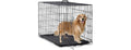 BestPet | Dog Crate | 48" | Black | Foldable Metal
