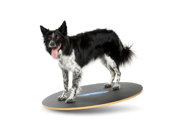 FitPAWS Wobble Board - Dog Balance Training E