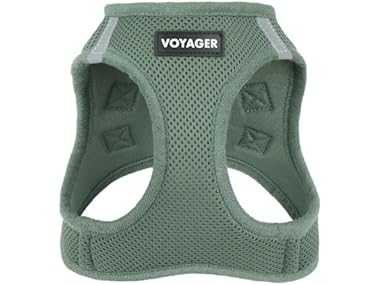 Best Pet Supplies Voyager Step-in Air Harness Moss Green, M