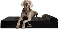 NOAH & PAW Orthopedic Dog Beds- XLarge