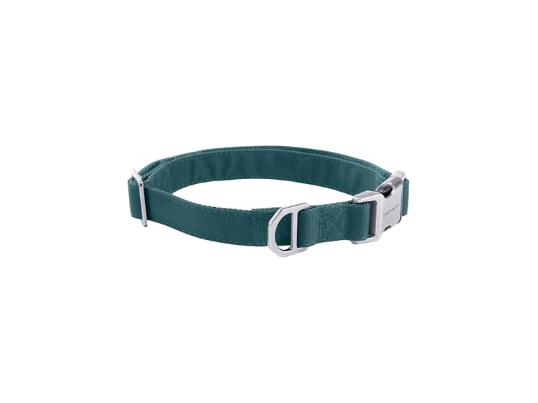 Carhartt Field Dog Collar, Fully Adjustable Greenstone, Med