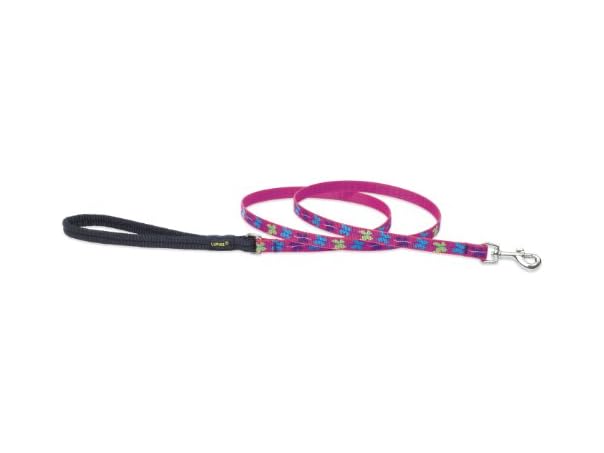 LupinePet Originals 1/2" Wing It 4-foot Padded Leash