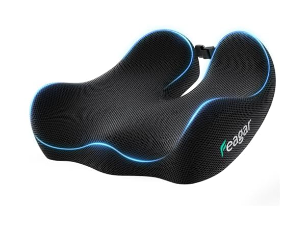 Feagar Seat Cushion for Office Chair