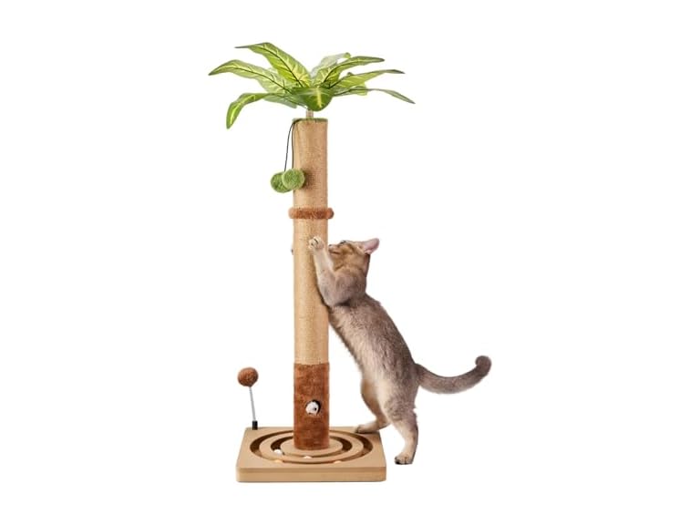 MECOOL 35" Premium Cat Scratching Post